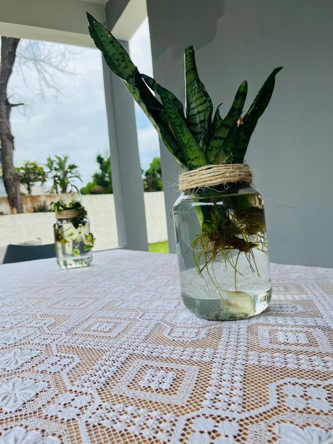 Casa Cinza Villa Ponta do Ouro Ngoại thất bức ảnh